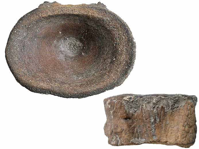 Raie : vertbres de Poisson fossile jurassique Boulonnais