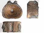 Vertebre fossile de Raie du jurassique Boulonnais