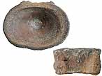 Vertebre fossile de Raie du jurassique Boulonnais