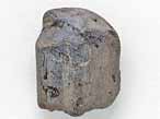 Bois fossile du jurassique Boulonnais