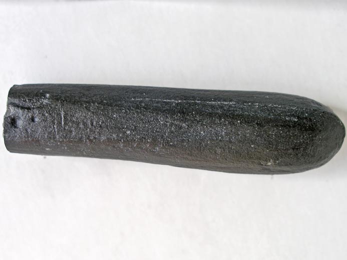 Bois fossile jurassique Boulonnais